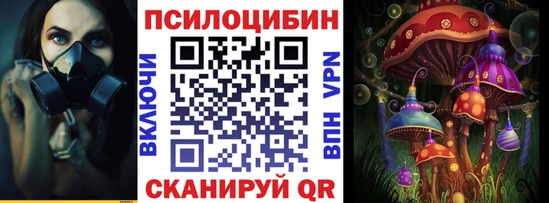 Псилоцибиновые грибы мицелий  Нестеровская 