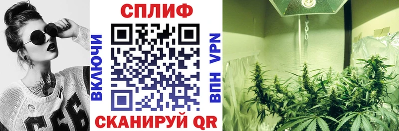 Марихуана AK-47  Нестеровская 